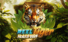 Play Reel Tiger on Starcasino.be online casino