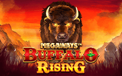 Play Buffalo Rising Megaways on Starcasino.be online casino