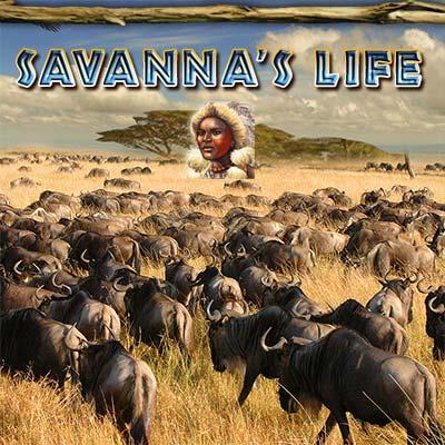 Savanna's Life (POFS)