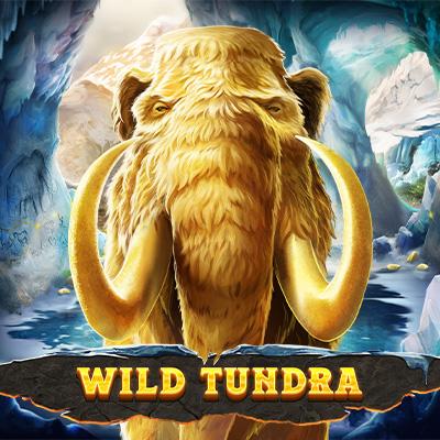 Wild Tundra