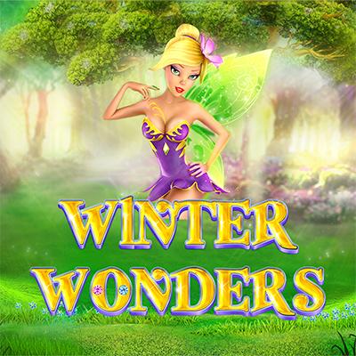 Winter Wonders