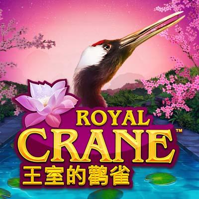 Royal Crane