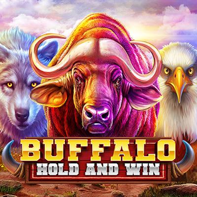 Buffalo Hold And Win