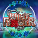 Jouer à Wildflower sur le casino en ligne Starcasino.be