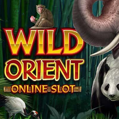 Wild Orient
