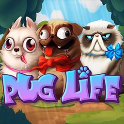 Juega a Pug Life en el casino en línea de Starcasino.be