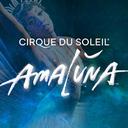 Jouer à Cirque Du Soleil Amaluna sur le casino en ligne Starcasino.be