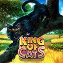 Jouer à King of Cats sur le casino en ligne Starcasino.be