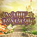 Jouer à White Rabbit sur le casino en ligne Starcasino.be