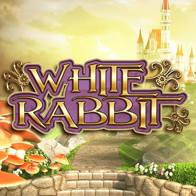White Rabbit