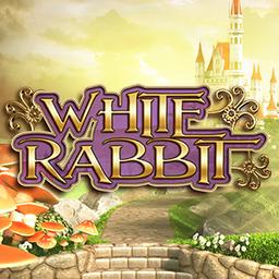 Speel White Rabbit op Starcasino.be online casino