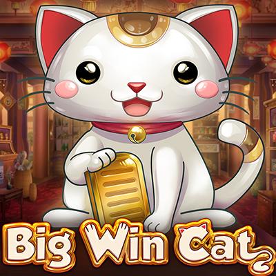 Big Win Cat