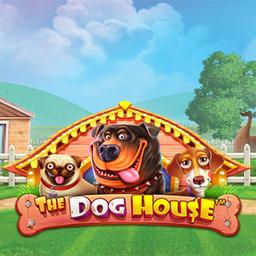 Play The Dog House™ on Starcasino.be online casino