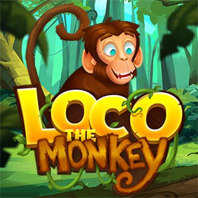 Loco The Monkey