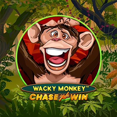 Wacky Monkey - Chase N Win™