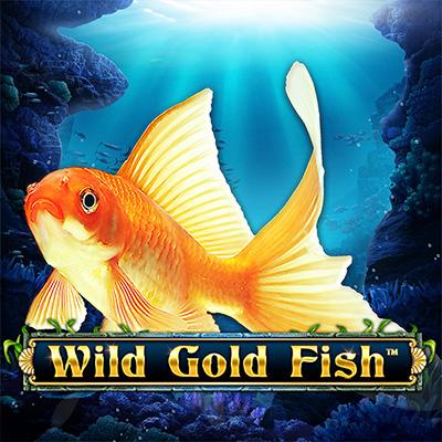 Wild Gold Fish™