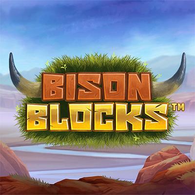 Bison Blocks