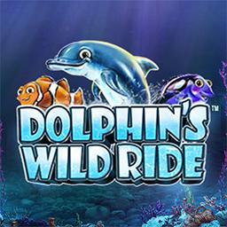 Грайте у Dolphins Wild Ride в онлайн-казино Starcasino.be