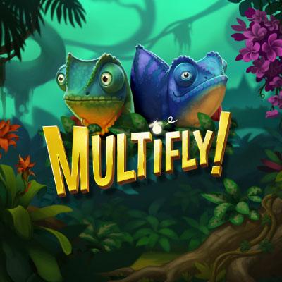 Multifly