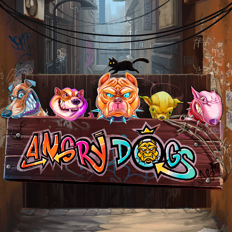 Angry Dogs