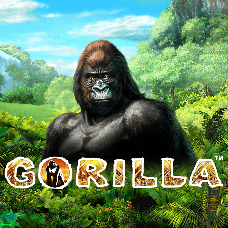 Gorilla