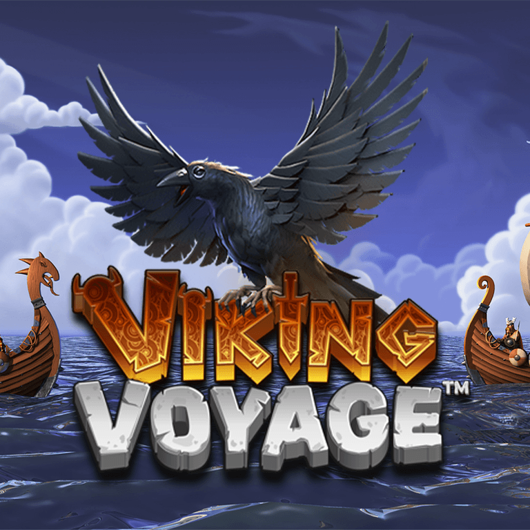 Viking Voyage