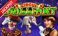 Zagraj w Circus Brilliant w kasynie online Starcasino.be