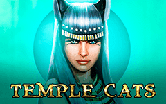 Zagraj w Temple Cats w kasynie online Starcasino.be
