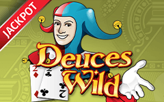 Play Deuces Wild on Starcasino.be online casino