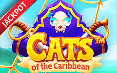 Joacă Cats of the Caribbean™ în cazinoul online Starcasino.be