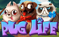 Играйте Pug Life на Starcasino.be онлайн казино