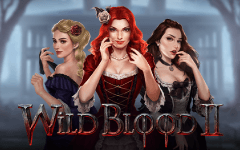 Play Wild Blood 2 on Starcasino.be online casino