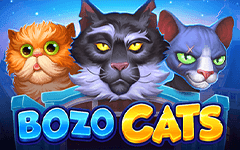 เล่น Bozo Cats บนคาสิโนออนไลน์ Starcasino.be