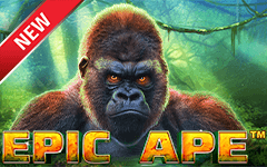 Play Epic Ape on Starcasino.be online casino