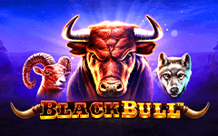 Juega a Black Bull en el casino en línea de Starcasino.be