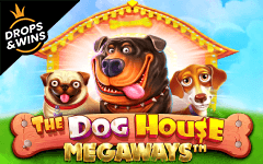 Gioca a The Dog House Megaways™ sul casino online Starcasino.be