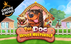 Play The Dog House Multihold™ on Starcasino.be online casino