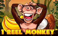 เล่น 1 Reel Monkey™ บนคาสิโนออนไลน์ Starcasino.be
