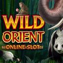 Jouer à Wild Orient sur le casino en ligne Starcasino.be