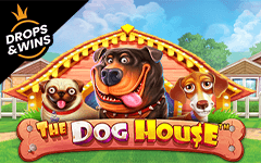 Play The Dog House™ on Starcasino.be online casino