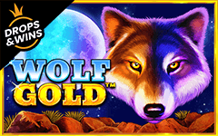 Play Wolf Gold on Starcasino.be online casino