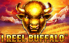 Play 1 Reel Buffalo™ on Starcasino.be online casino