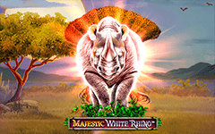Play Majestic White Rhino™ on Starcasino.be online casino